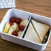 Lunch Box S pour Pompe Sous-vide Fresh & Save